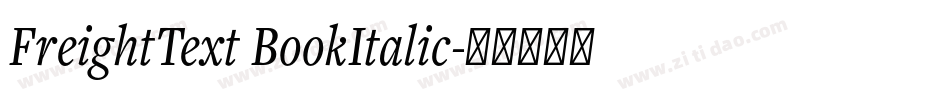 FreightText BookItalic字体转换